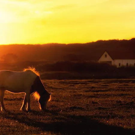 Διαμέρισμα Duenenklause Duene 5 Spiekeroog