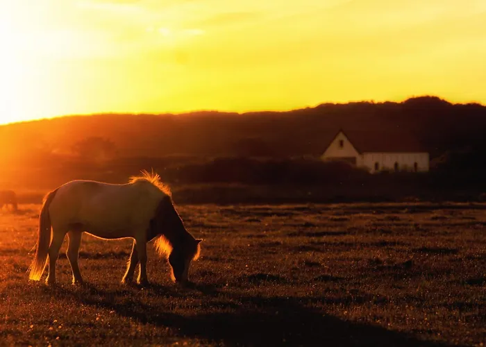 Апартаменты Duenenklause Duene 5 Шпикерог